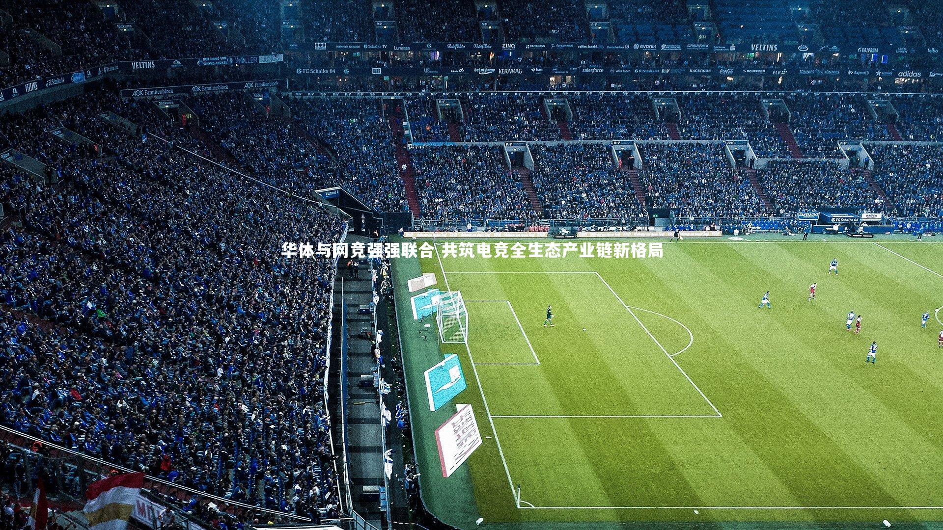 九游会j9_华体与网竞强强联合 共筑电竞全生态产业链新格局